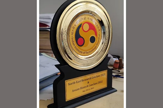 Electric Car Exhibition Achievement